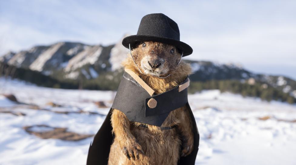 Boulder marmot meteorologist predicts six more weeks of winter | KUNC