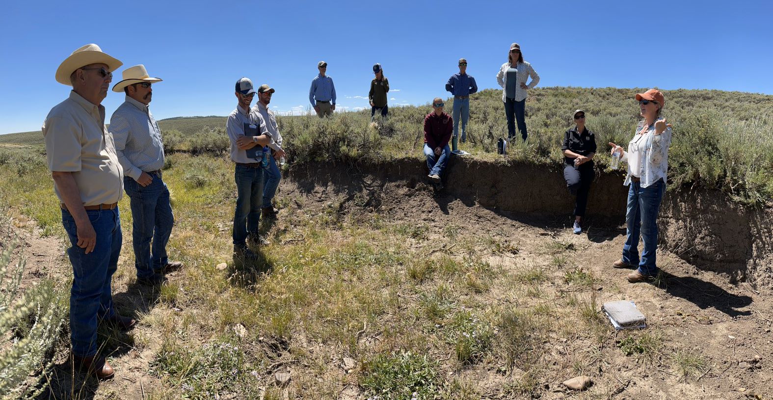 Feds invest $50 million in sagebrush ecosystem as threats mount - Vimarsana News
