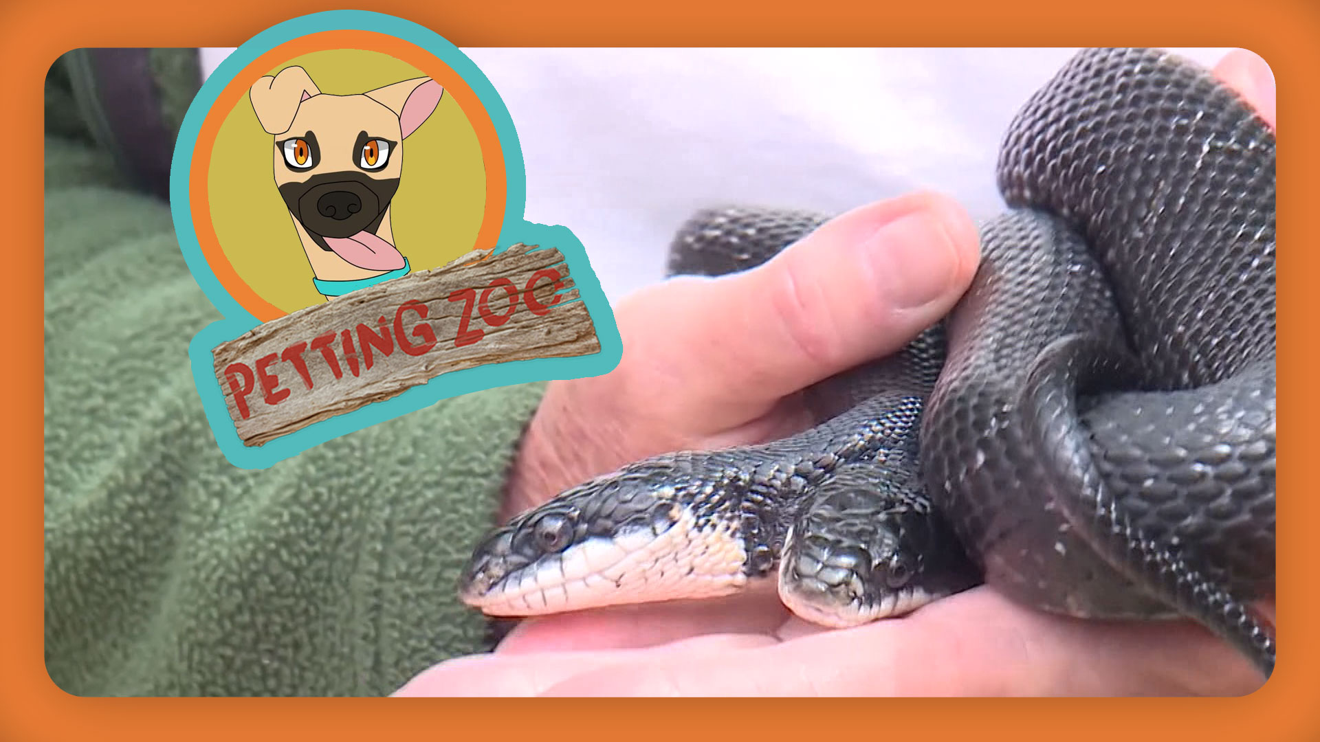 Petting Zoo: Two-headed snake! | Ideastream Public Media