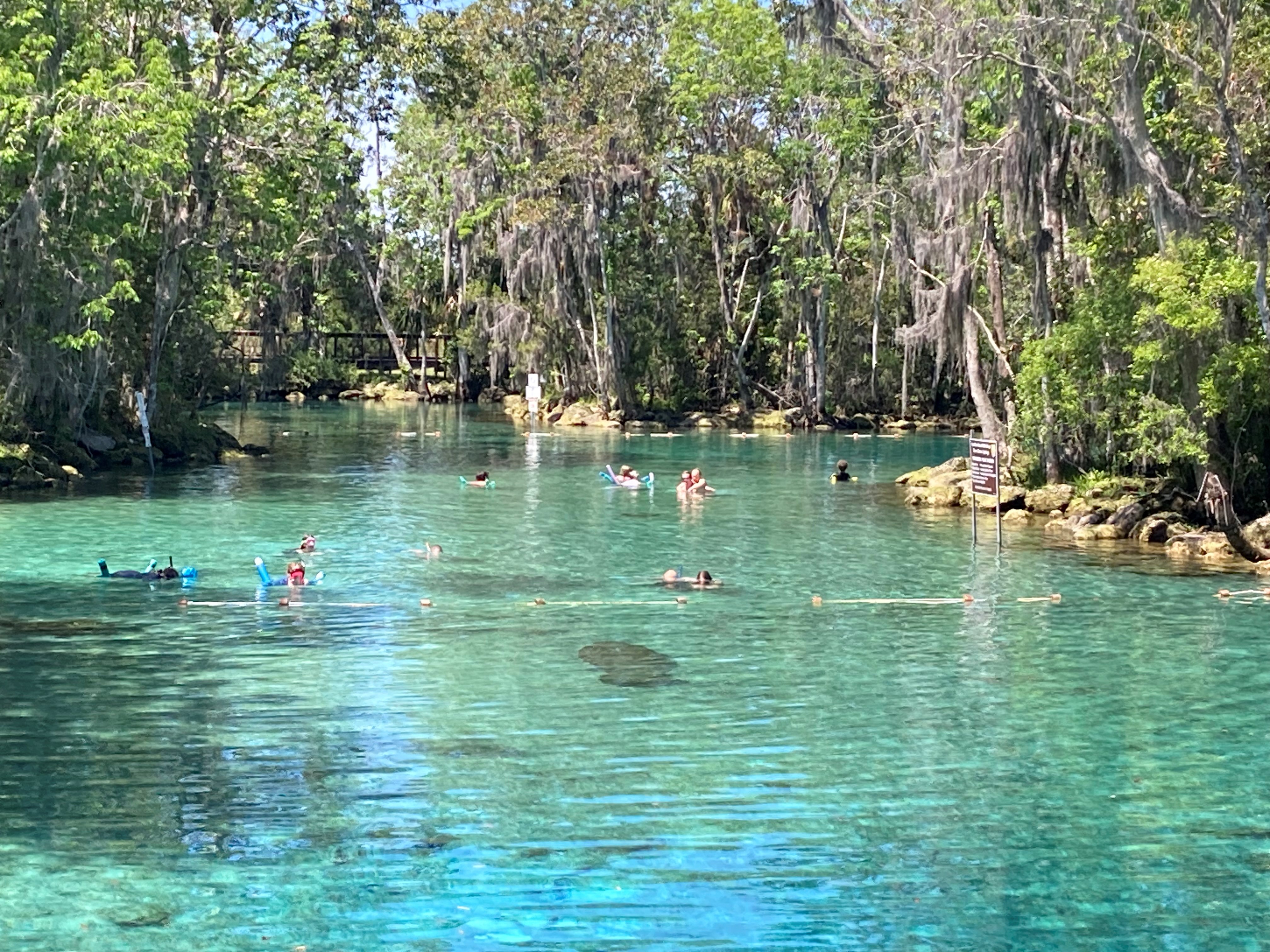 Florida Spring B Crystal Springs Florida Five Crystal Clear Natural Springs To Enjoy In