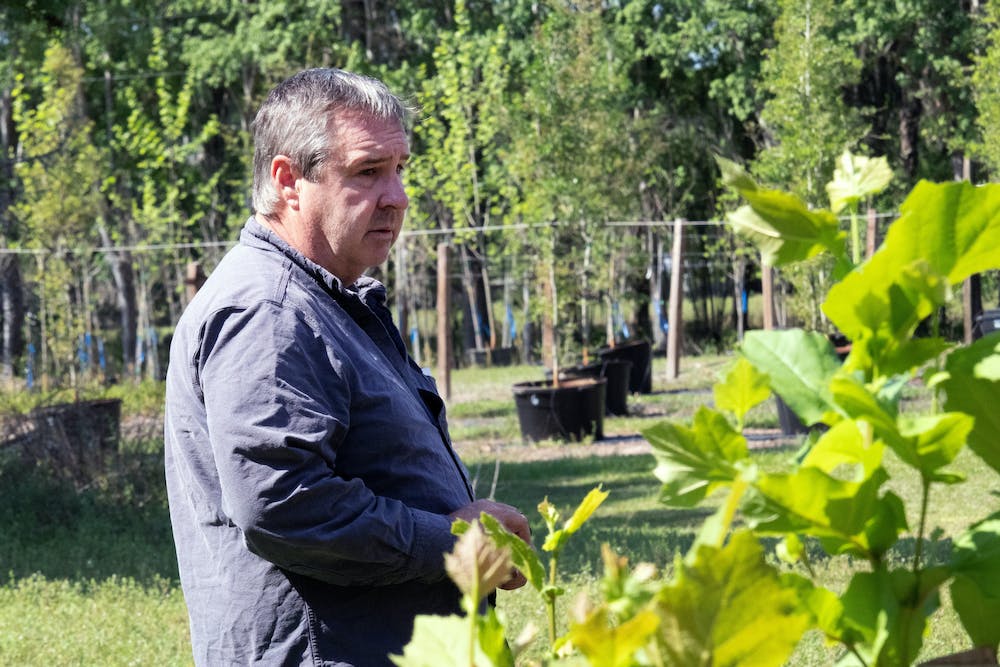 How UF is working to mitigate climate change - Vimarsana News