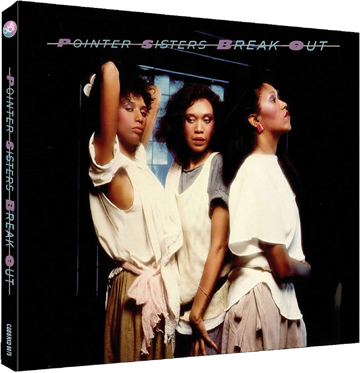プロモ盤 Pointer Sisters Having a Party 2025年最新】Yahoo!オークション -pointer sisters having a