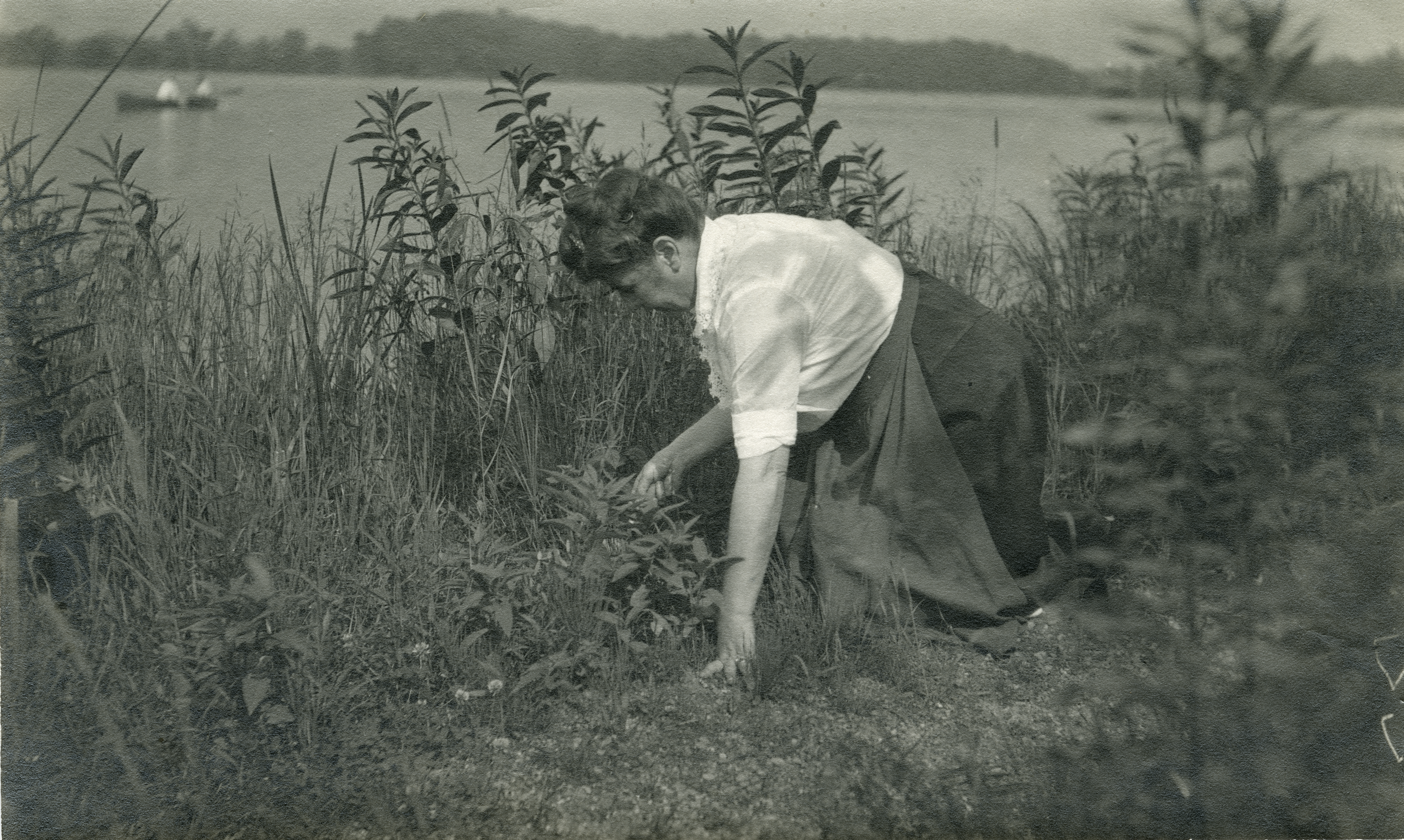 Black and white photograph of a Gene Stratton-Porter kneeling by a grassy shoreline next to a body of water, reaching down to examine or gather plants.