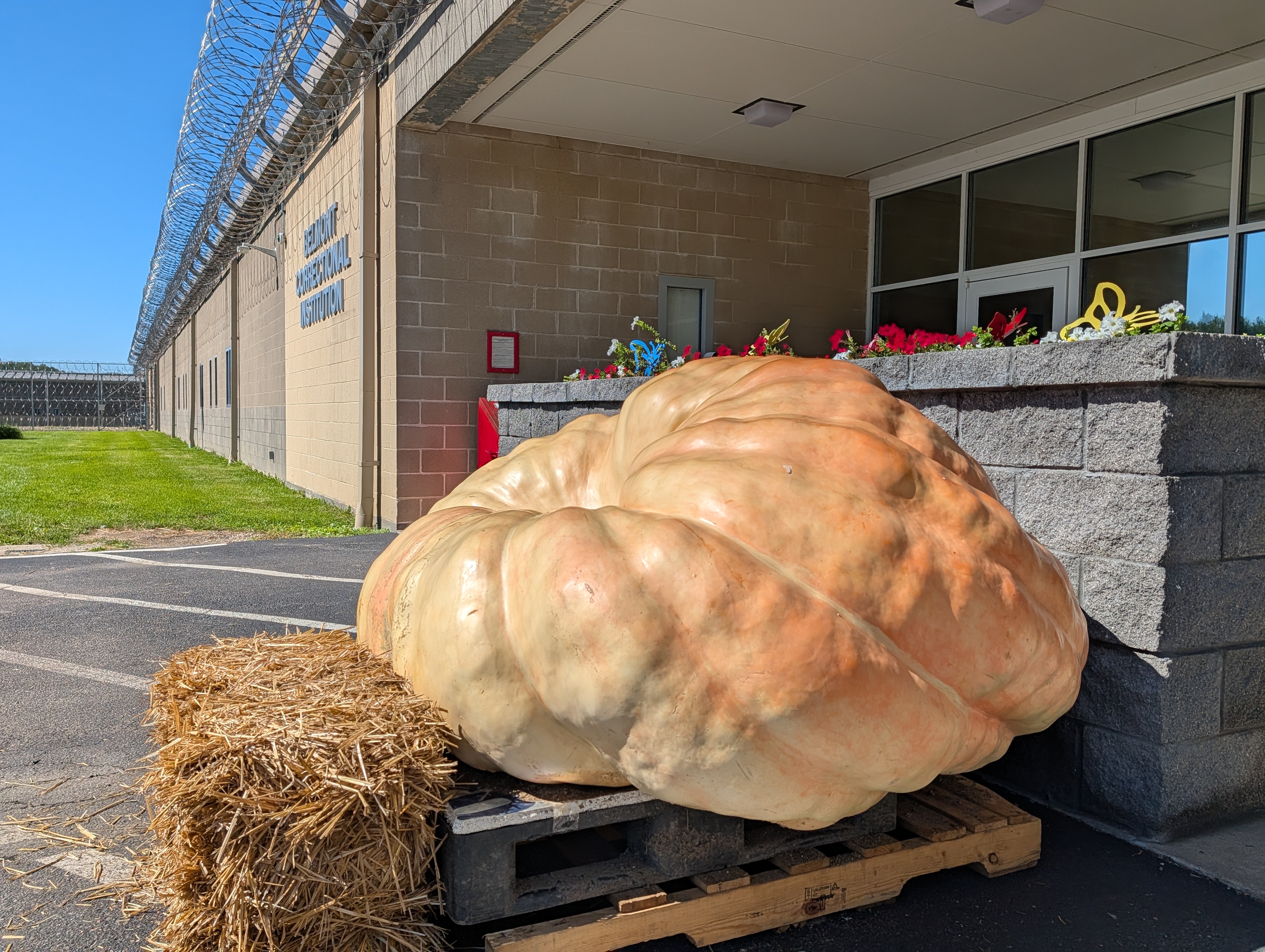 The challenge of growing colossal pumpkins inside Ohio's prisons