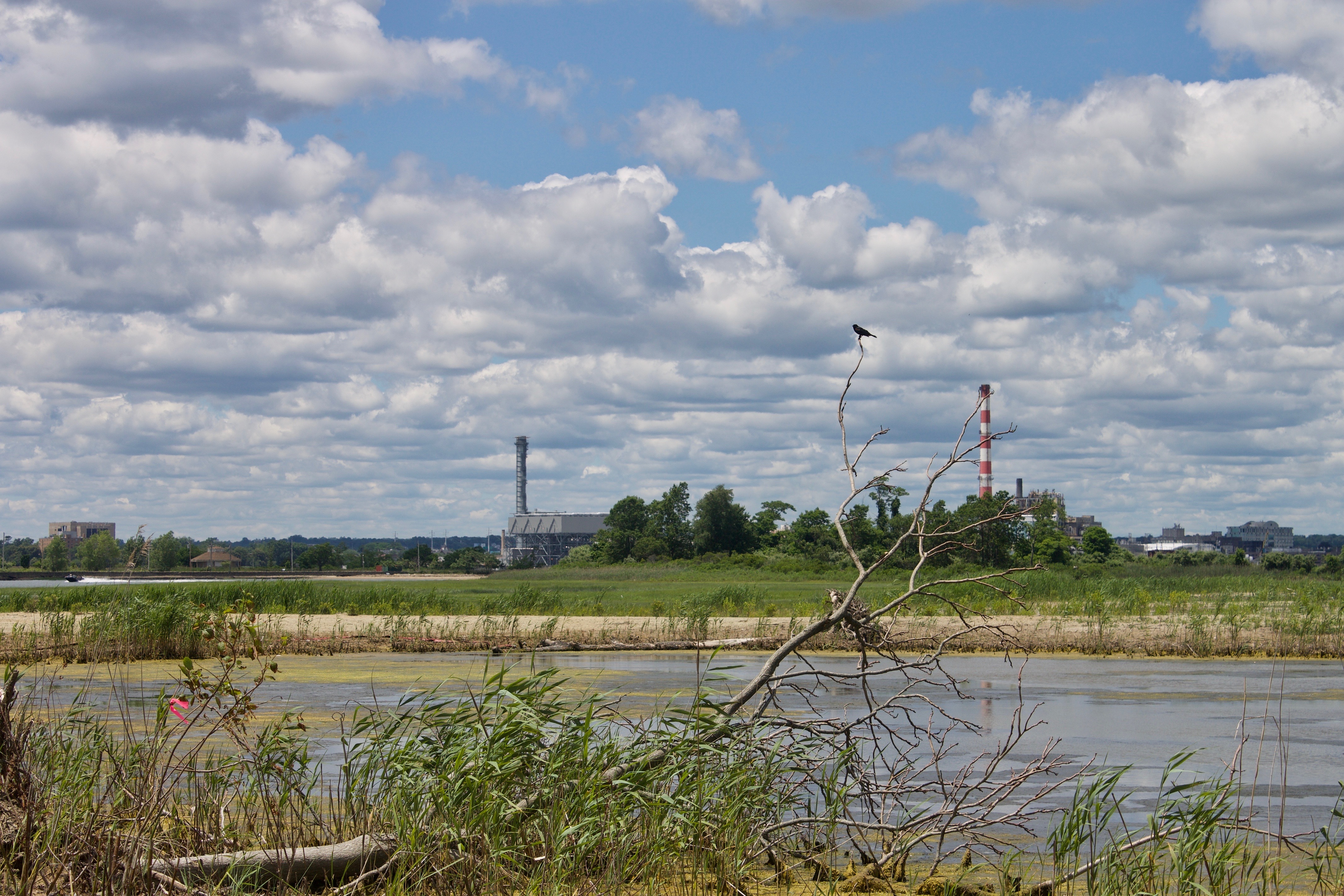 $10 million funds 41 community projects in the Long Island Sound watershed - Vimarsana News