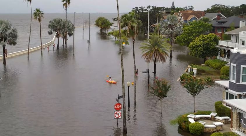 How a park and pond could solve South Tampa&rsquo;s flooding problem | WUSF