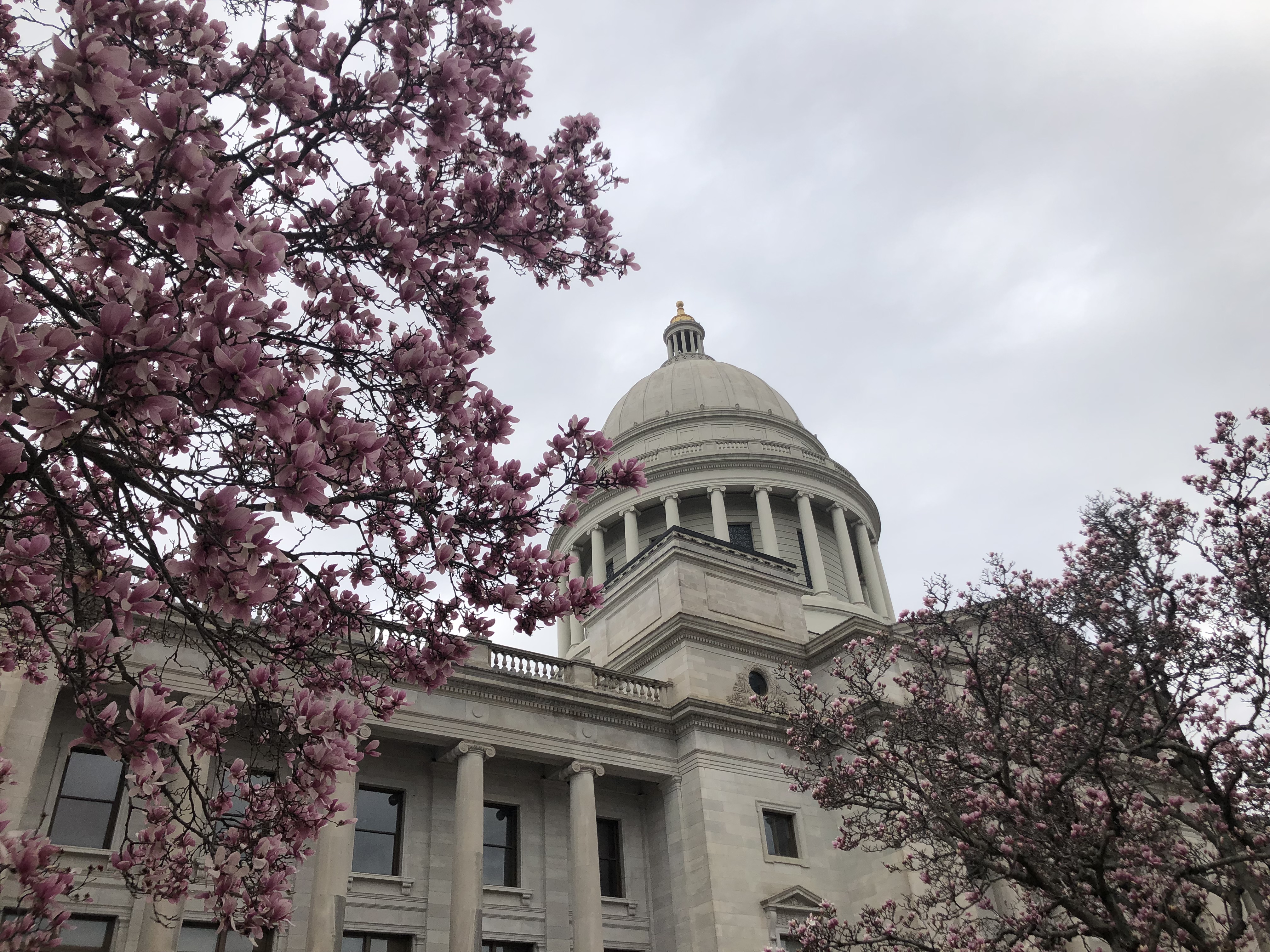 Hundreds of new Arkansas laws set to take effect Aug. 1