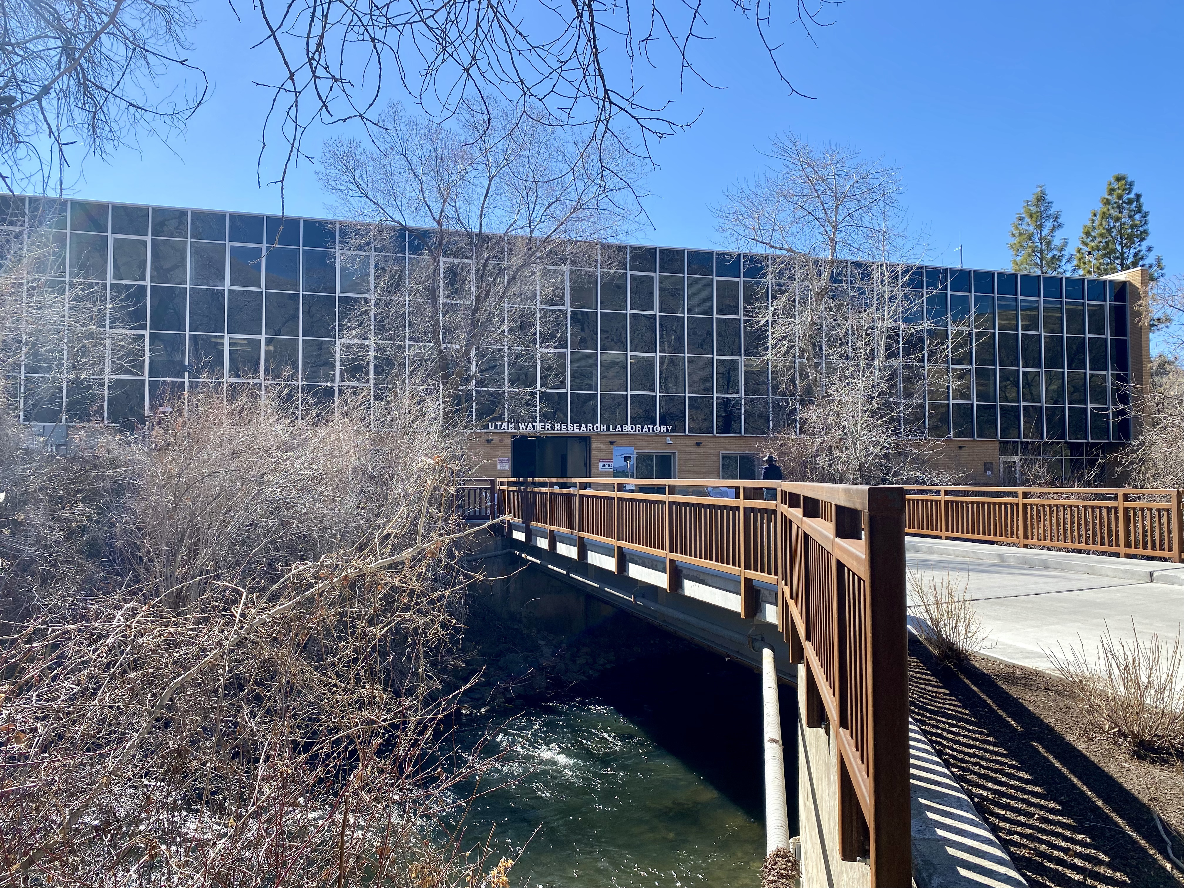 River bank and water