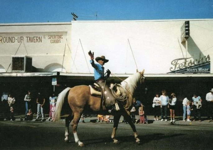 book-jimmie-washoe-improbable-icon-by-su