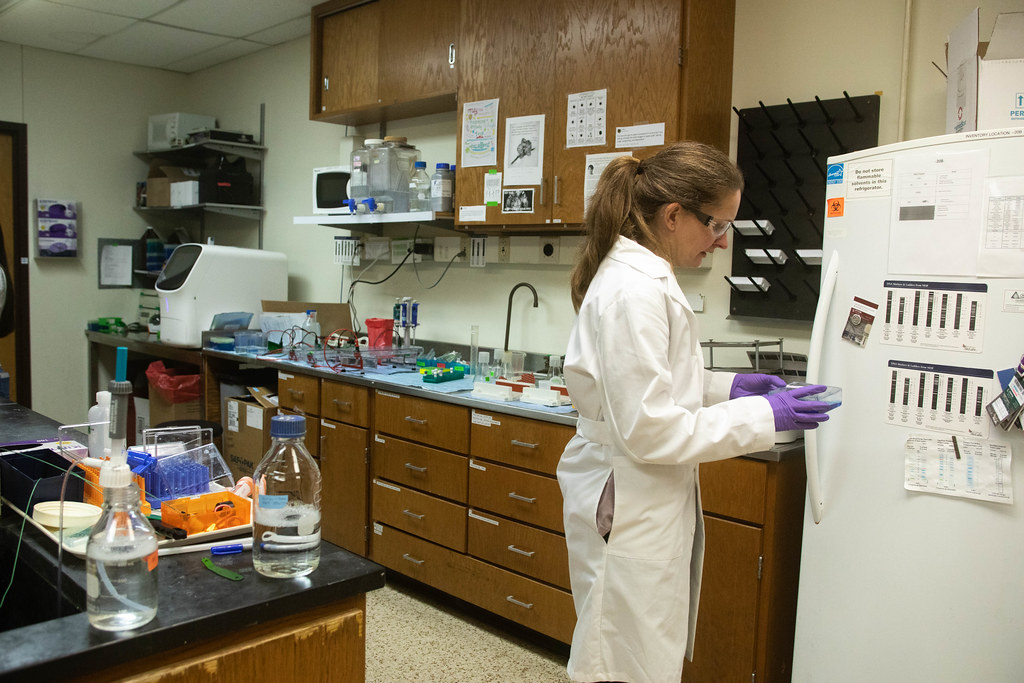 UT Austin researchers make headway toward universal coronavirus treatments - Vimarsana News