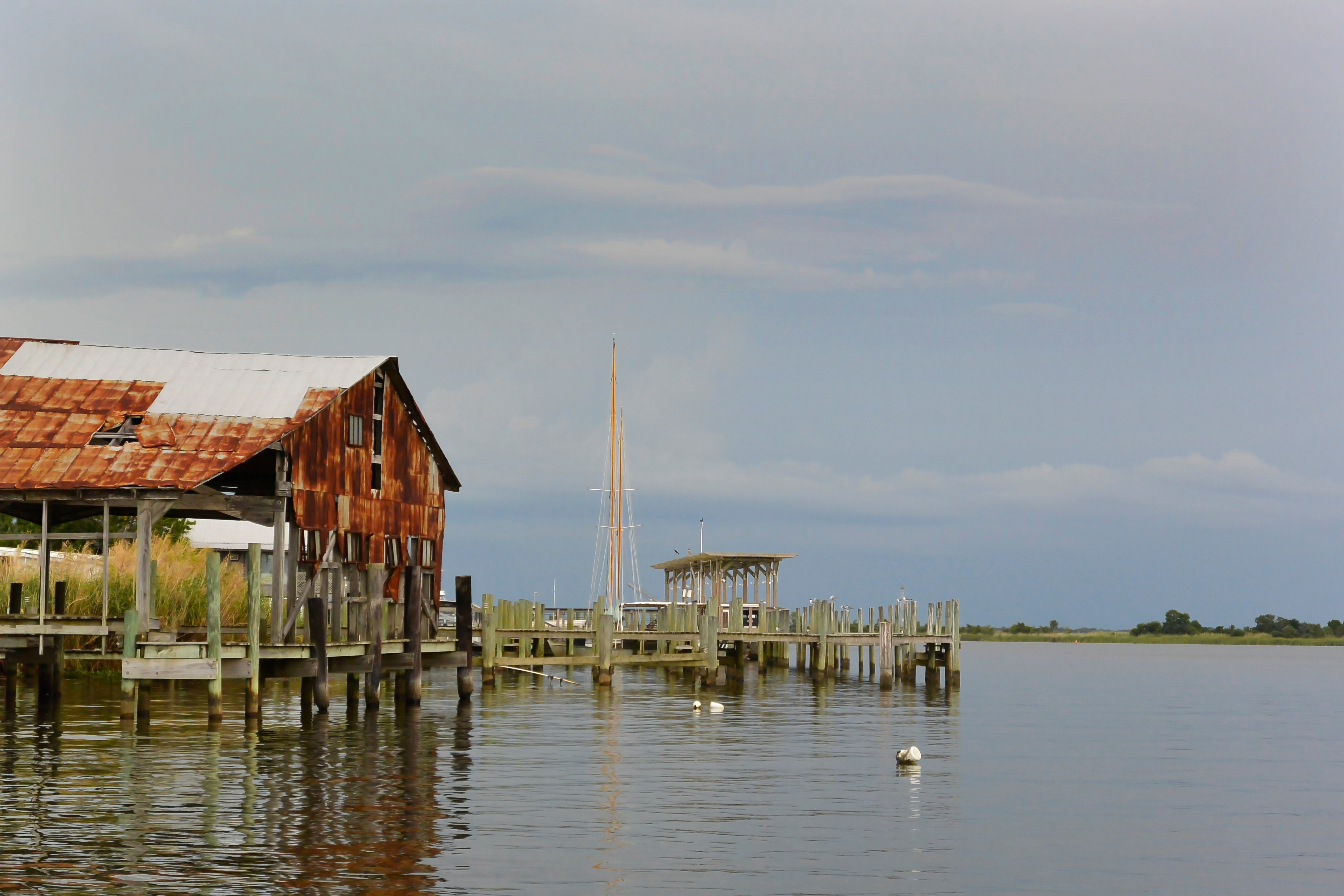 An appeals court is urged to hear a case involving water flows to the Apalachicola River - Vimarsana News