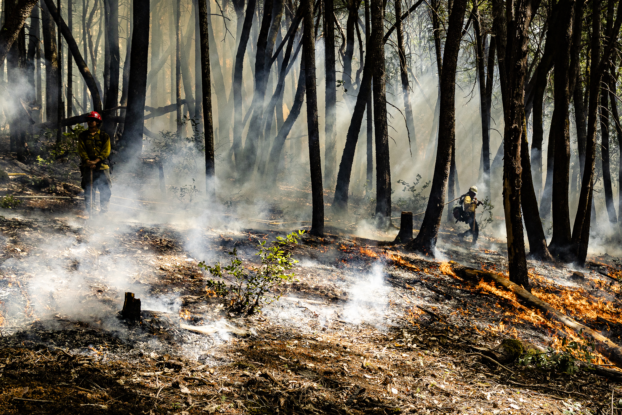 A firefighter pulls a hose along the fireline on the Bacon Flat prescribed fire in late September.