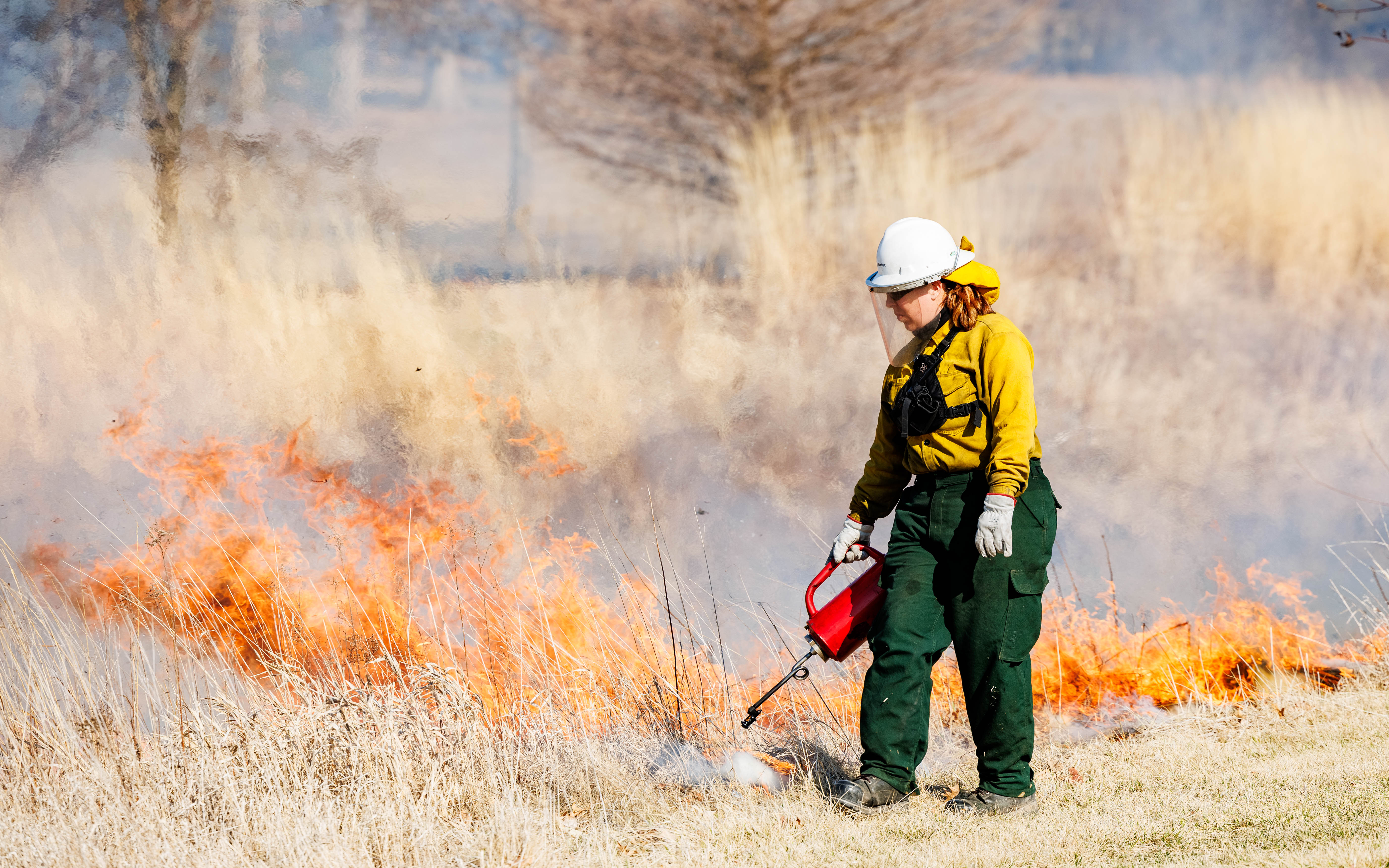 Photos: Controlled burns in B-N manage invasive plants and support