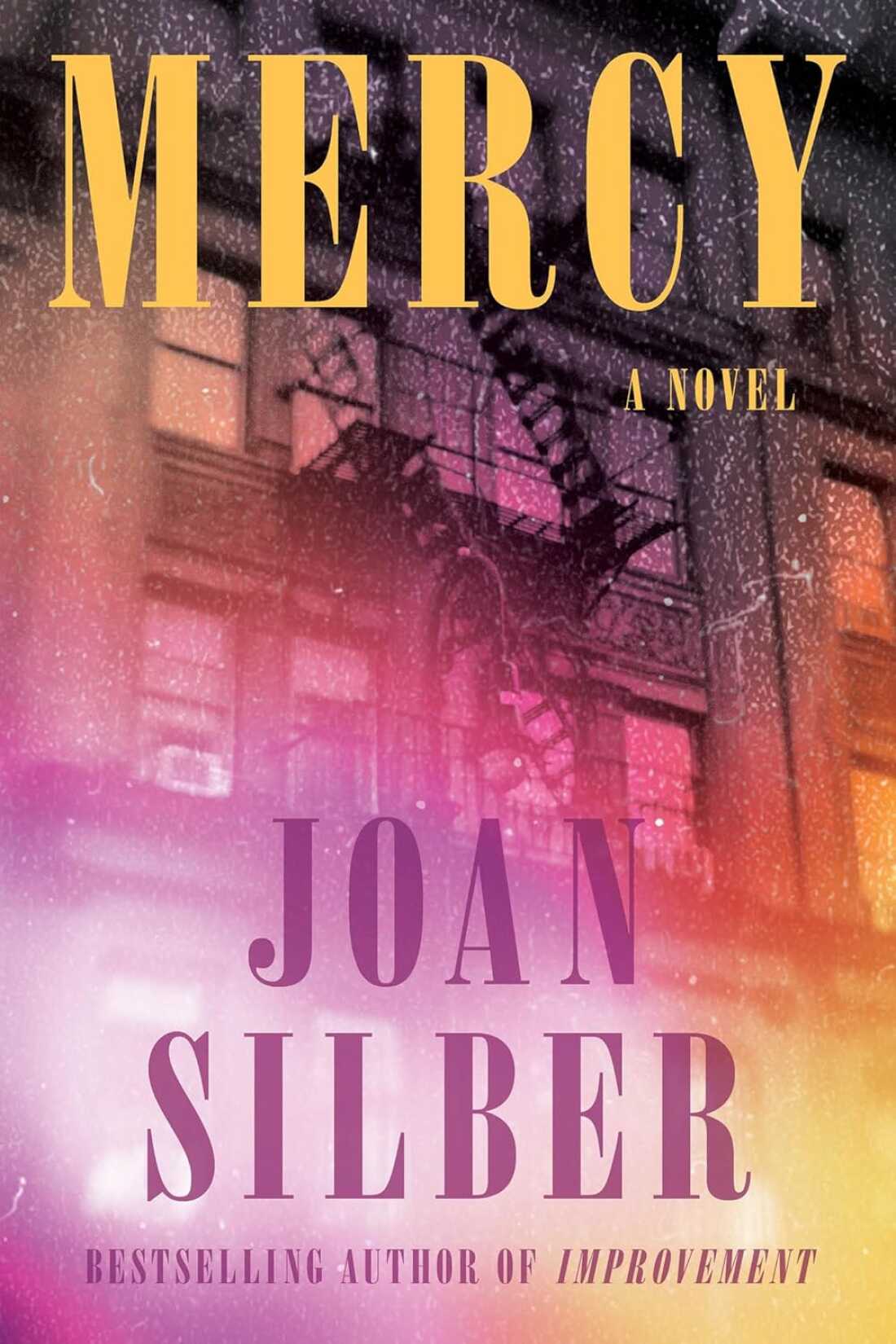 Mercy, by Joan Silber
