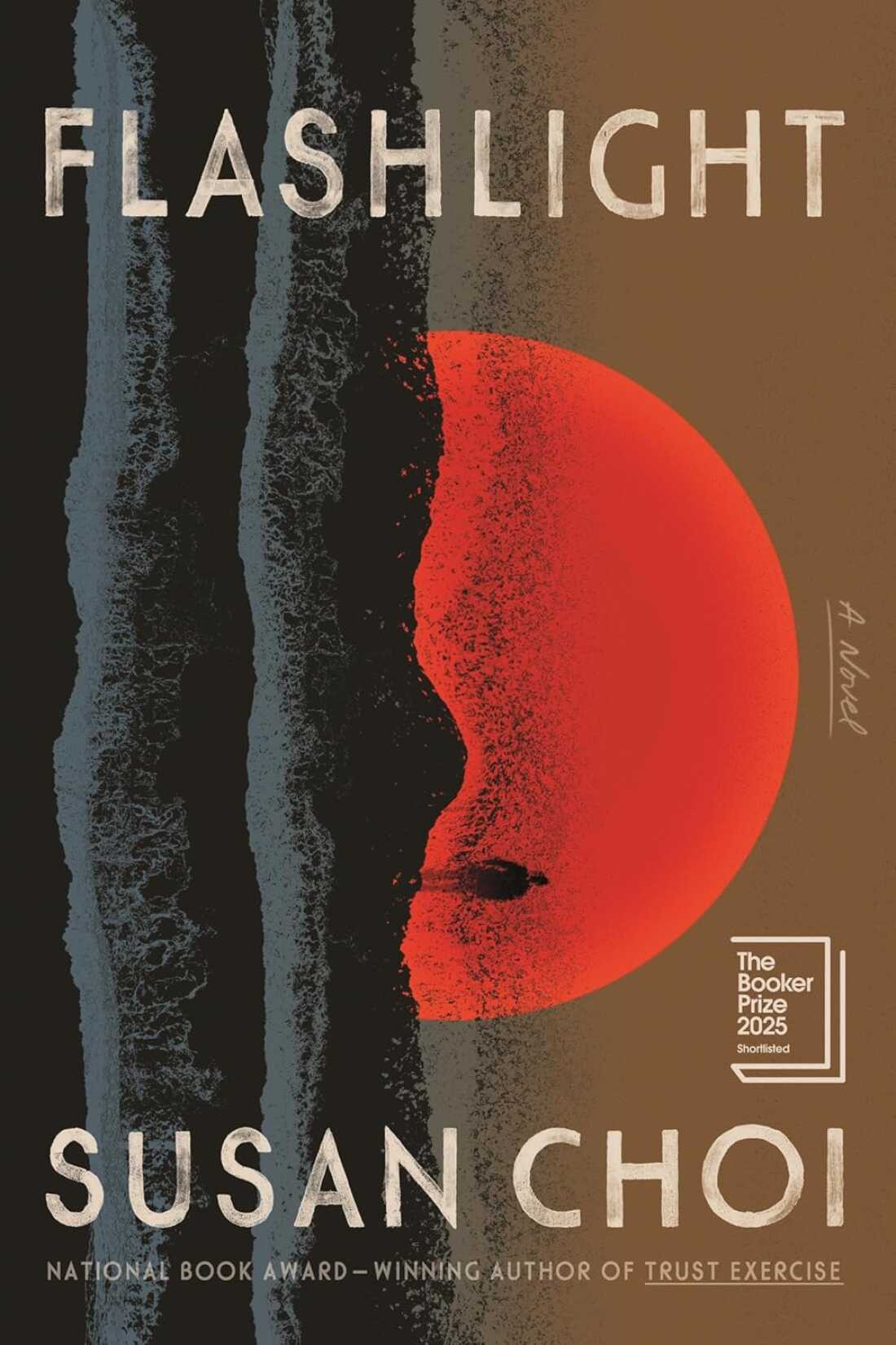 Flashlight, by Susan Choi