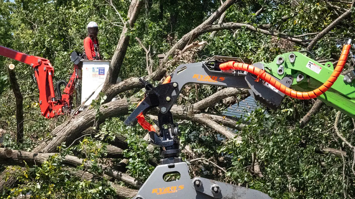 Workers from True Cut Tree Care of Farmington, Michigan remove a tree from the front of a home after it was toppled during a recent storm on Aug. 20, 2026 in Gary, Indiana.