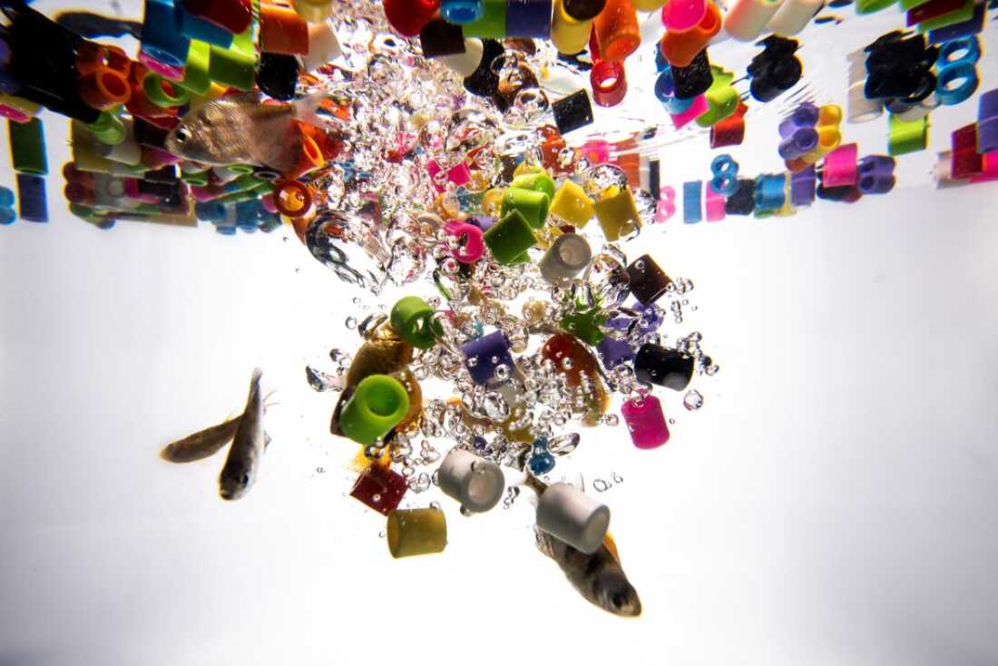 Plastic pieces in frozen water.