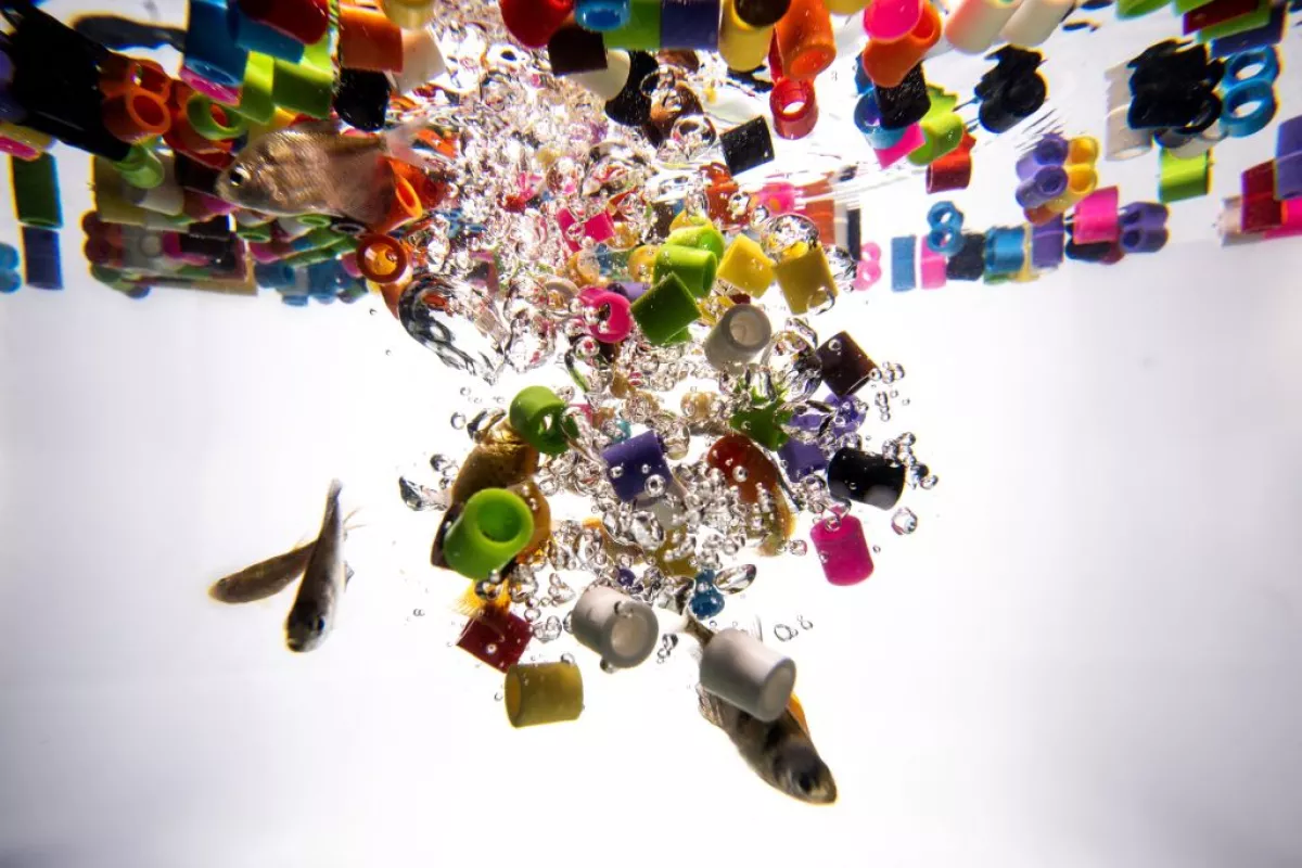 Scraps of plastic trash have inundated the oceans and waterways.