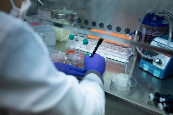 A laboratory studying sickle cell disease at the National Heart, Lung, and Blood Institute's Cellular and Molecular Therapeutics Laboratory, at the National Institutes of Health on February 8, 2024, in Bethesda, Maryland.
