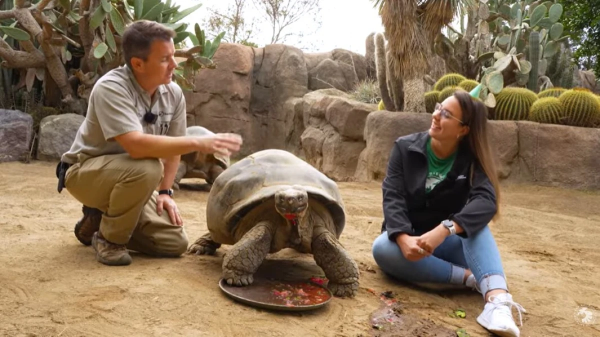 Gramma's 138th birthday was celebrated at the San Diego Zoo in 2022.