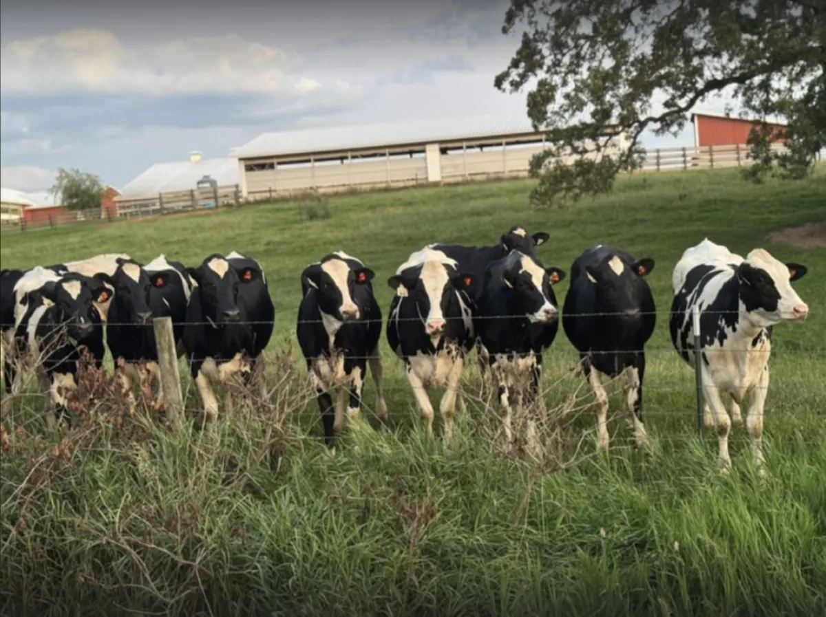 Farmers are about to pay a lot more for health insurance - TPR: The ...
