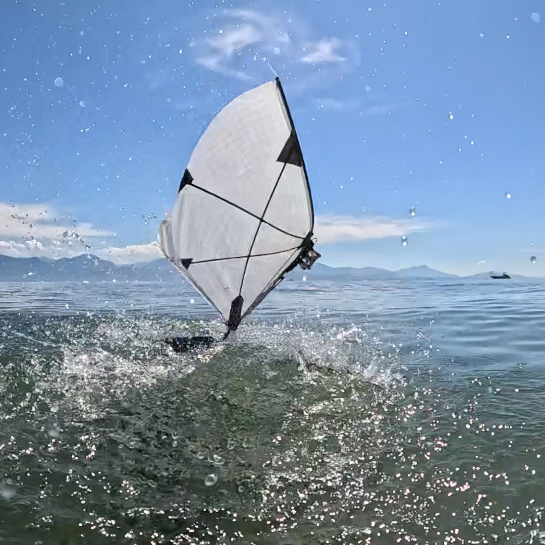 A new kind of robot swims the seas and soars the skies