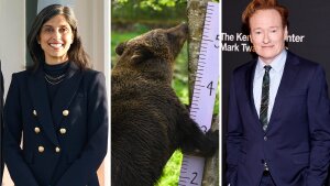 From left: a second lady, a brown bear, a comedian.