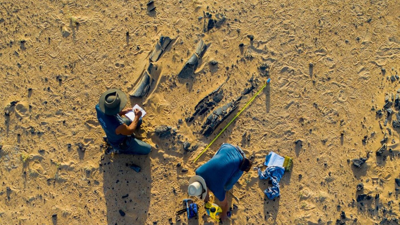 Rust 1.93: New Features, Performance & Updates! – Archyde