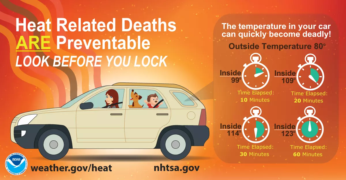 Look back before you look. Temperatures inside a car can rise quickly, even with the window a bit open.