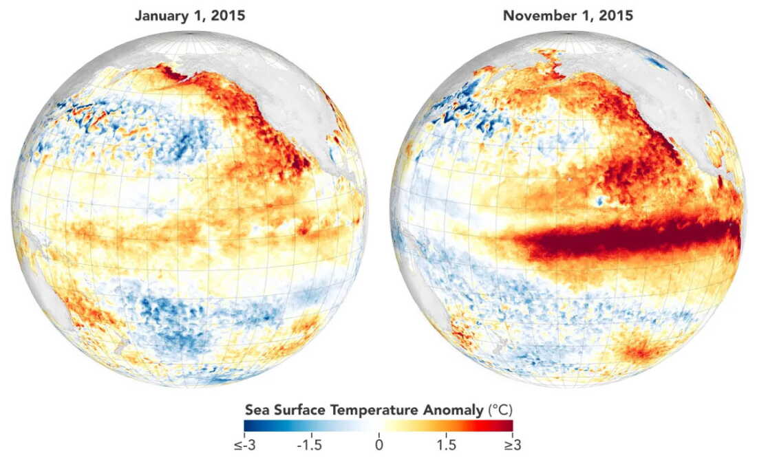 By November 2015, a powerful El Niño had developed, marked by abnormally warm ocean temperatures along the equator.