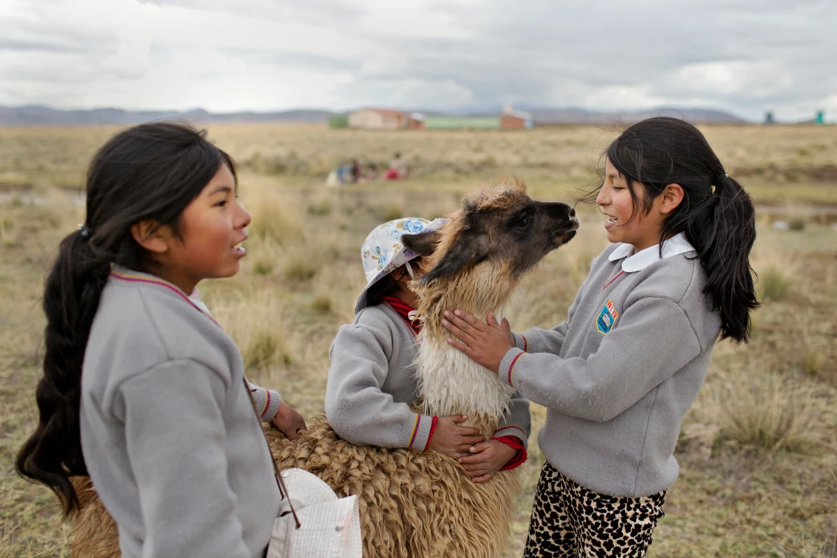 Elementary students in Peru take a break from their studies to hang out with a llama. They live in a community facing high levels of arsenic in their water supply.