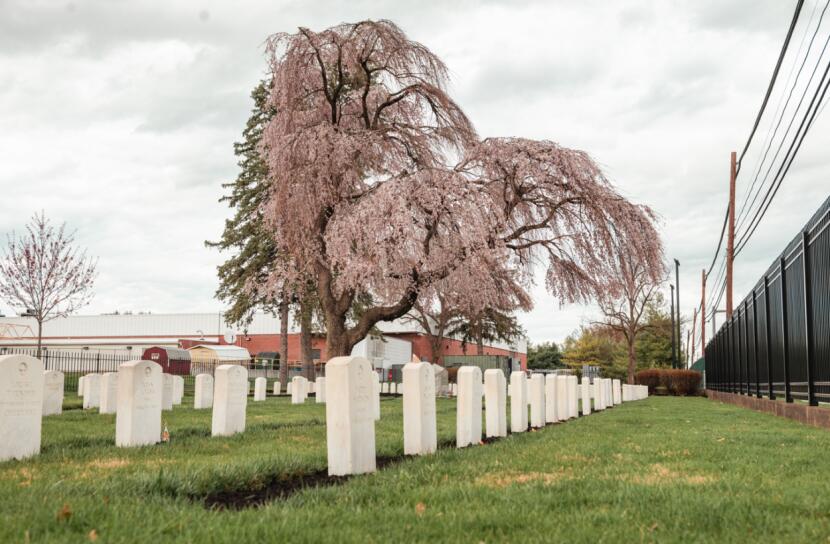 Carlisle Barracks Main Post Cemetery.