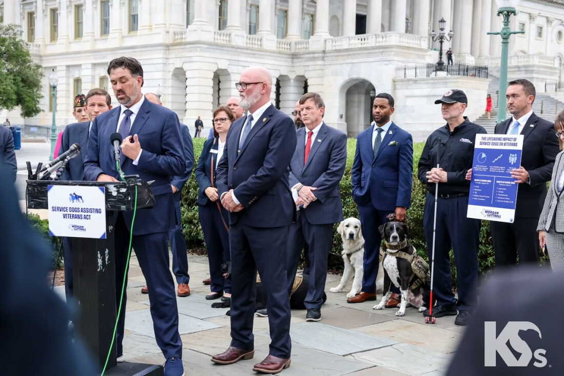 ‘We have the secret sauce’ – advocates call on Congress to pass more ...