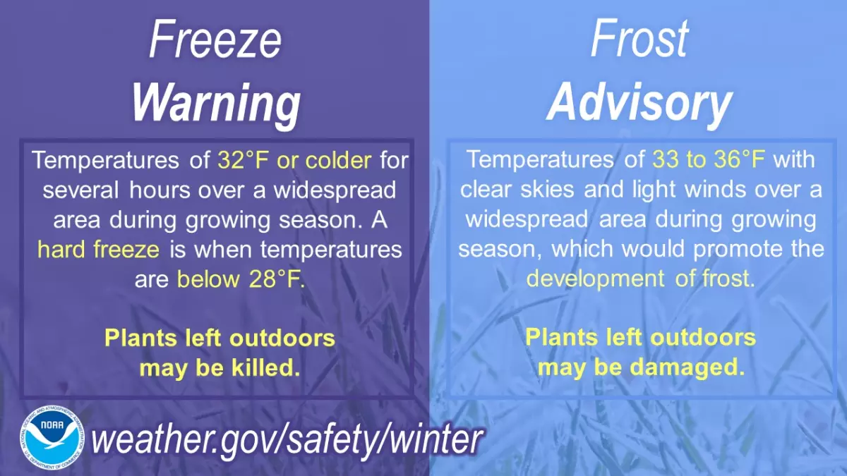 Freeze Warning vs Frost Advisory