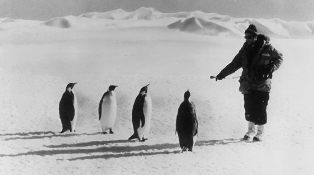 World Tour 8: The continent nobody owns & everyone benefits from 1 NPR Reporter Ira Flatow asking the tough question in Antarctica