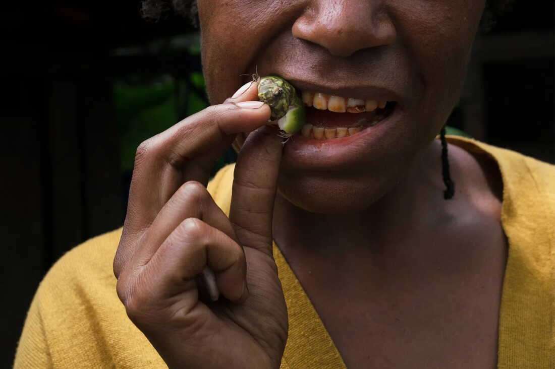 Historic enamel pose a thriller. The reply is likely to be: betel nuts : NPR