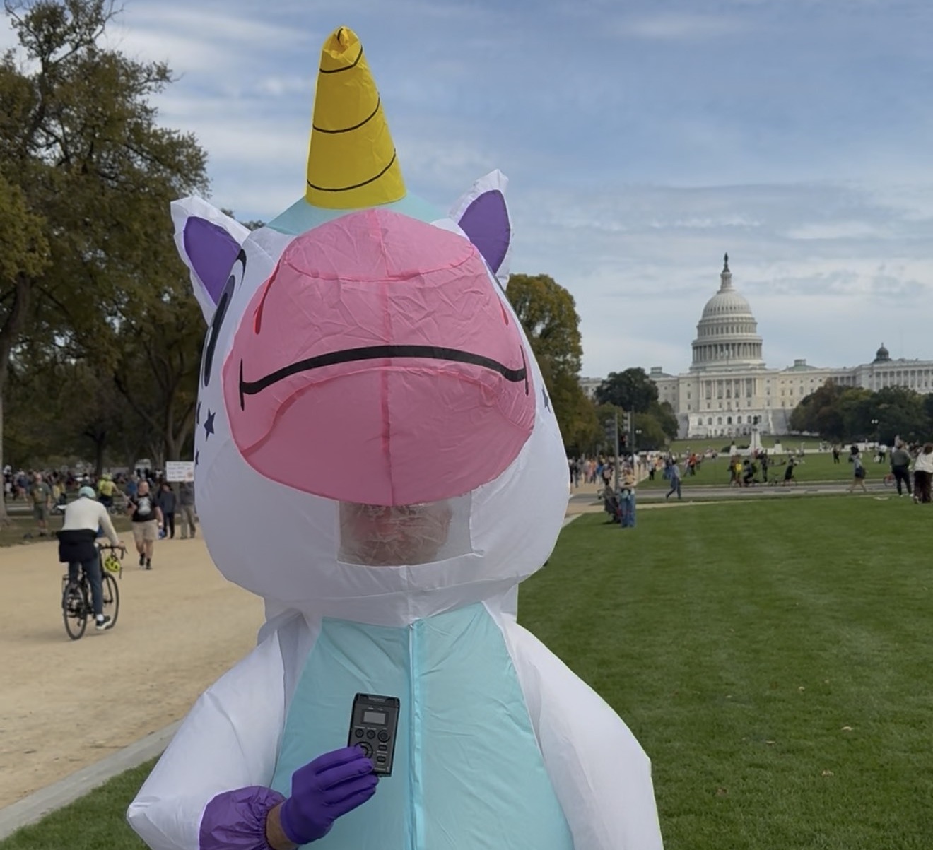 A frog, a lobster and a unicorn walked into a No Kings protest