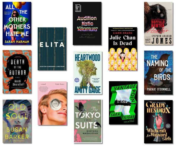 Hunker down with these 13 mysteries and thrillers from 2025