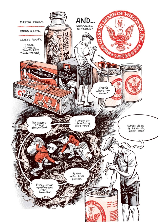 Where does the ginseng in your tea come from? A new graphic memoir explains the trade