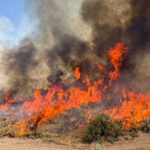 This undated photo provided by the U.S. Forest Service on Friday, Aug. 7, 2026, shows the Widemouth 2 wildfire burning near Richfield, Utah.