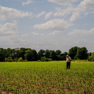 Sledge Taylor, 73, walks his corn fields just outside Como, Mississippi on Friday, April 17, 2026. The corn stalks are currently between vegetative stages known as V3 and V5, normally when Taylor would be applying nitrogen fertilizer. But he said he may not do it this year because of the cost of fertilizer.