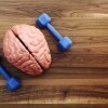 This photo, taken from above, looks down at a wooden table, on which is lying a model of a pink human brain and a small blue dumbbell on each side of it.