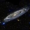 This high-speed star is whipping around the black hole in the middle of our galaxy : NPR 5 Stars in the Andromeda Galaxy, pictured here, were being studied by scientists who noticed that one particular star suddenly faded away and disappeared.