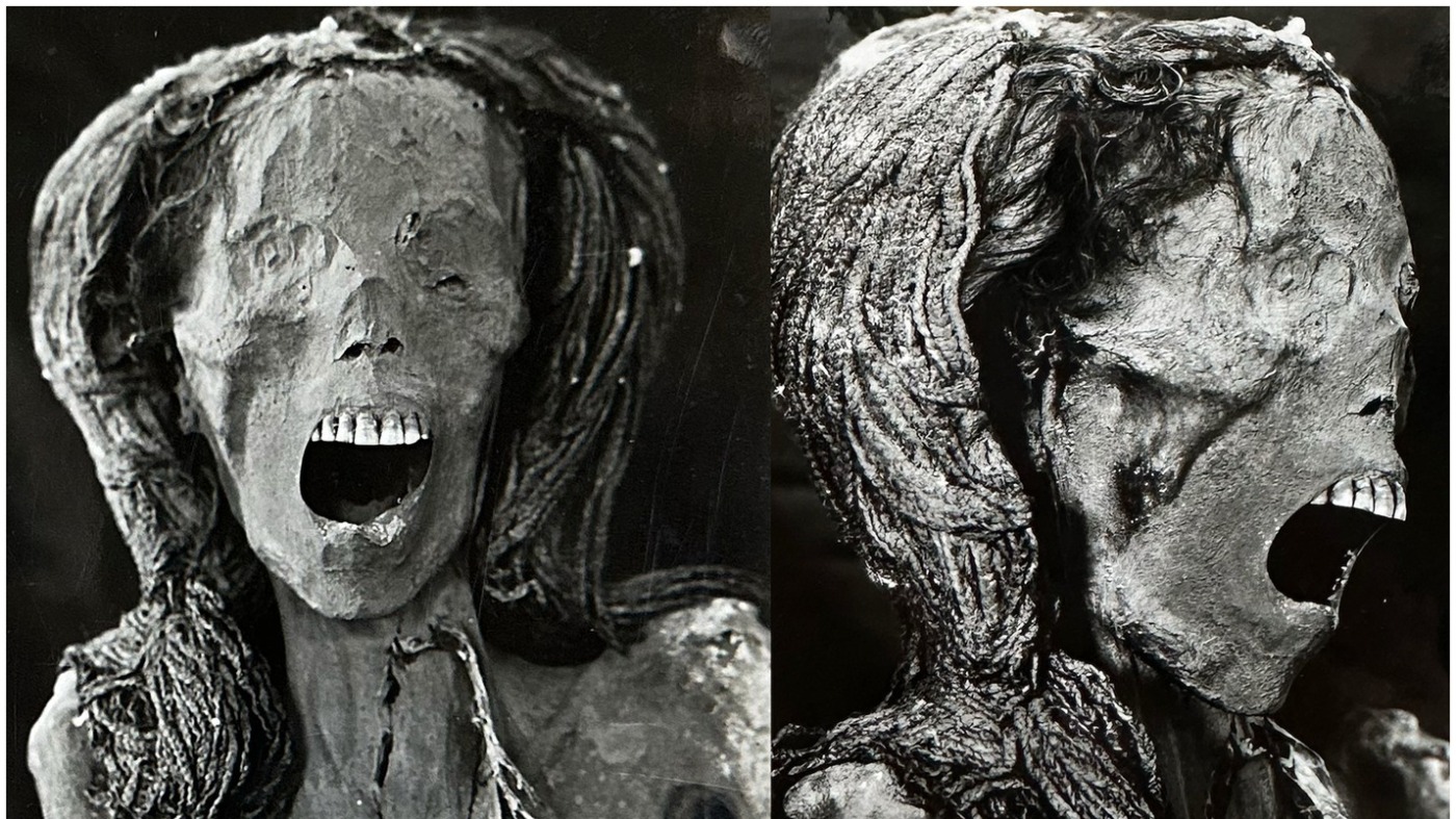 ‘Screaming Woman’ mummy died in pain, new study suggests : NPR ‘Screaming Woman’ mummy died in pain, new study suggests : NPR