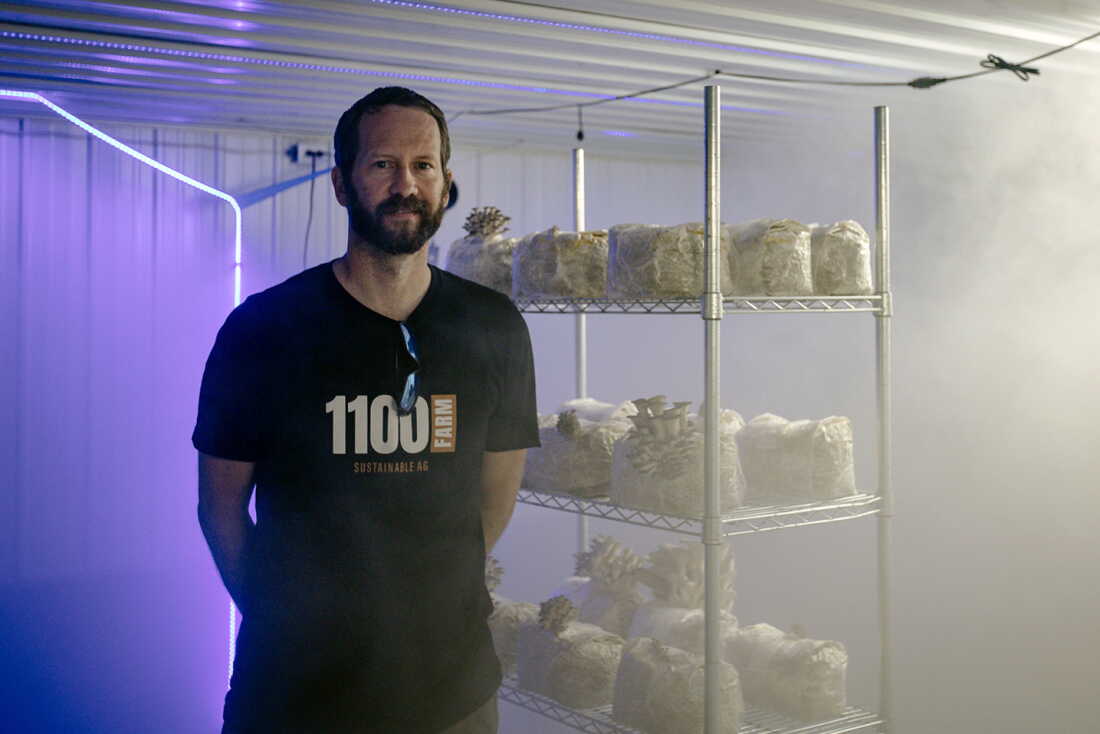 Mushrooms grow in a fruiting room inside a former hog barn retrofitted by the Faaborg family. The Faaborg family grows specialty mushrooms at 1100 Farm in central Iowa. Tyler Faaborg said the family makes their own mushroom blocks, which is cheaper than buying them. They're 50% soy hull; 50% hardwood pellets.
