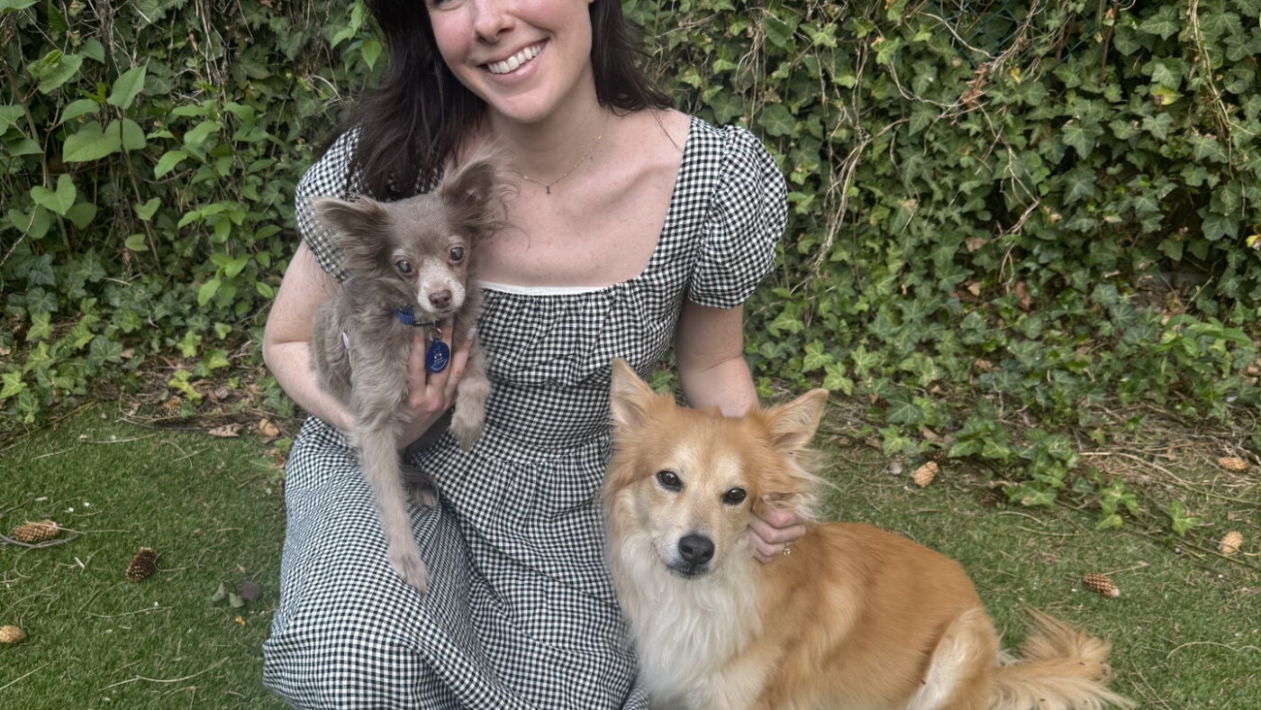 Isabel Klee's new memoir explores the realities of dog rescue