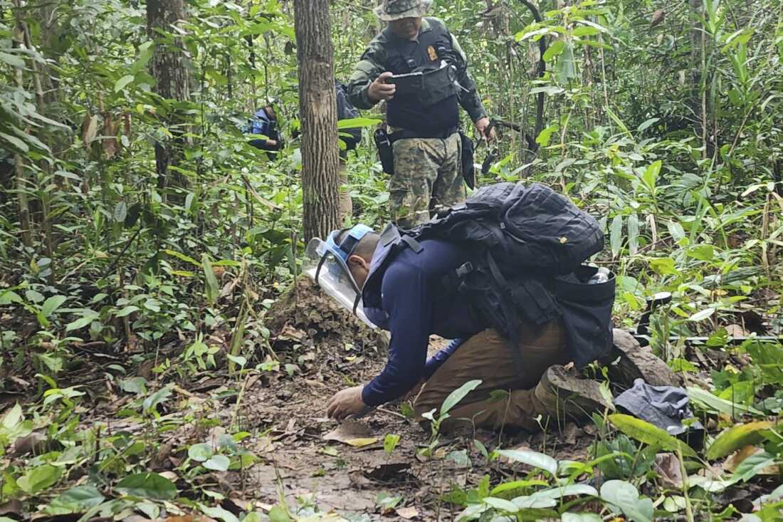 Thai and Cambodian troopers fireplace at one another in disputed border space