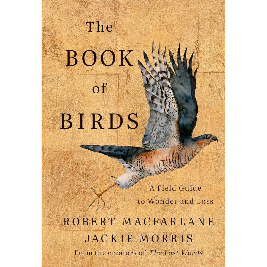  A Field Guide to Wonder and Loss	by Robert Macfarlane and Jackie Morris