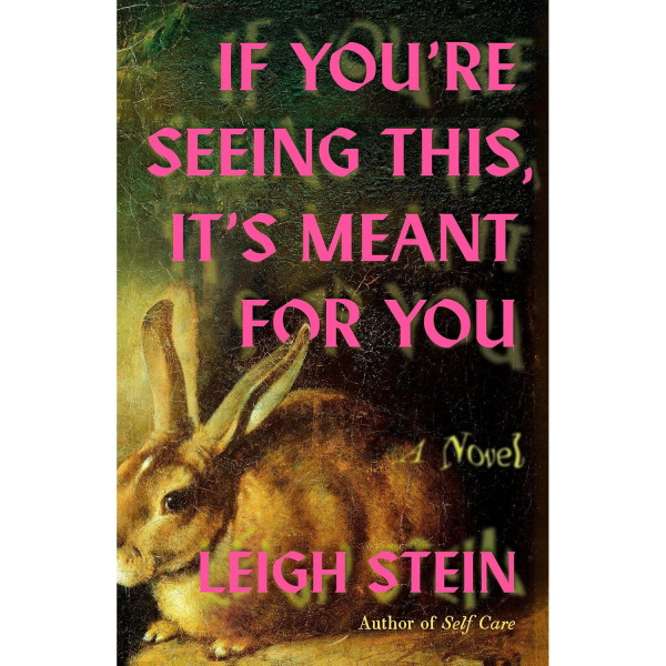 If You’re Seeing This, It’s Meant for You by Leigh Stein