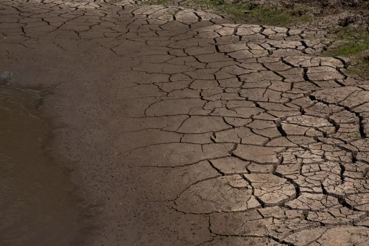 A dried-up pond in Jim Wells County, Texas.